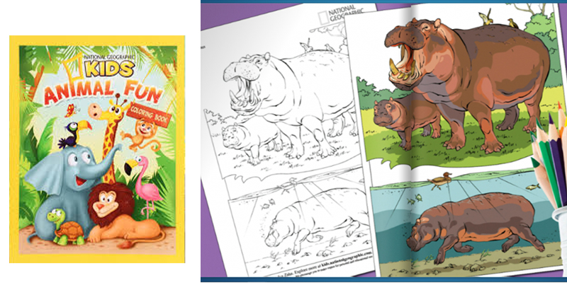 Custom Printed Childrens Picture Books